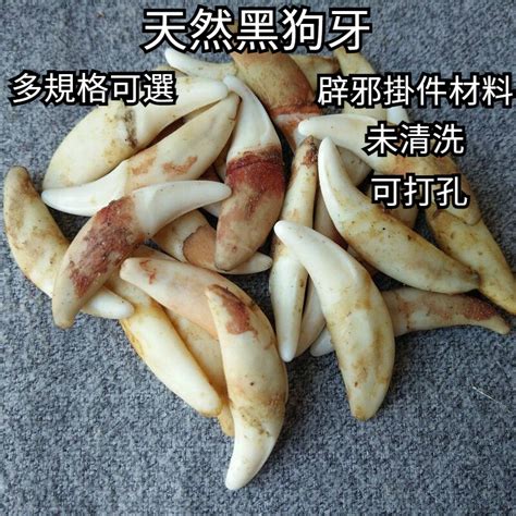 黑狗牙